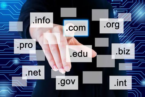 Explore Domain Registration Basics for Every Website